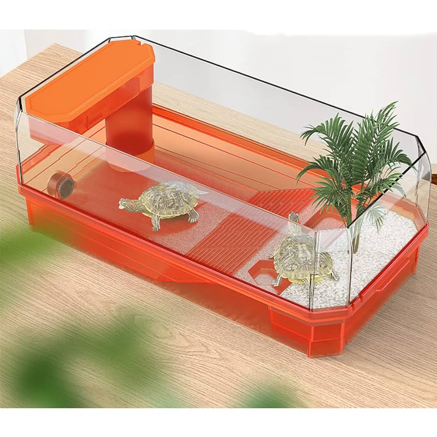 Amazon | ウミガメ水槽、プラガメ生息地、スッポン用水槽